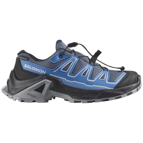 Salomon X Ultra Gore-Tex